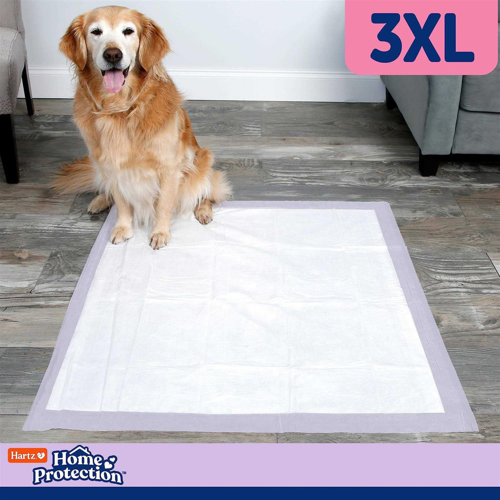 Lavender Scent Odor Eliminating Dog Pads E2868