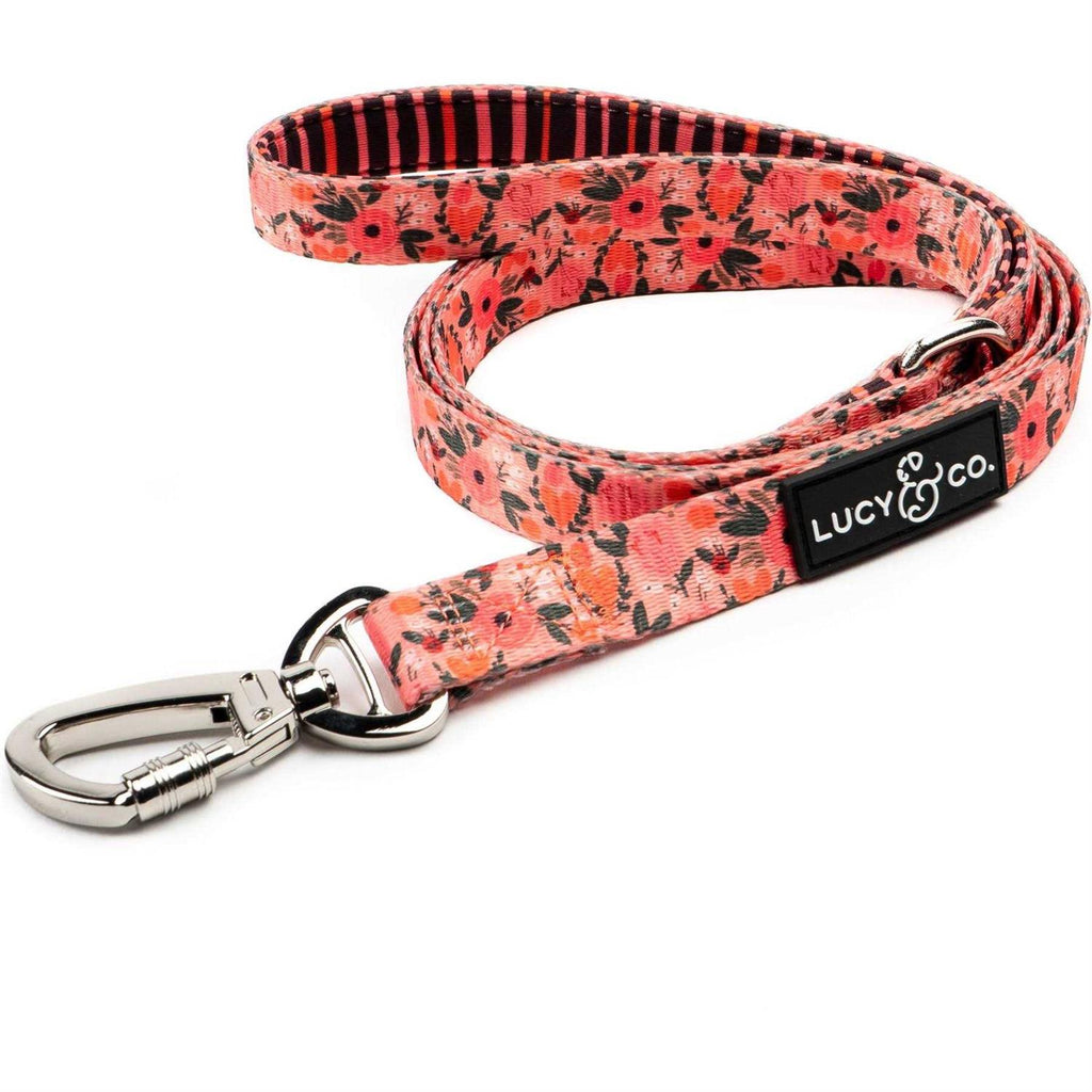 Leash J628112