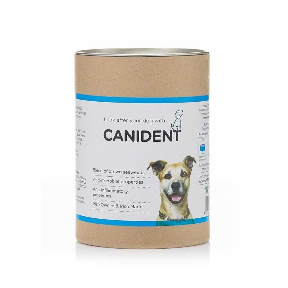 Clean Dogs Teeth J712