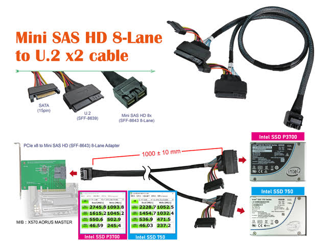 Mini SAS HD 8x to U.2 x 2 Cable T9650