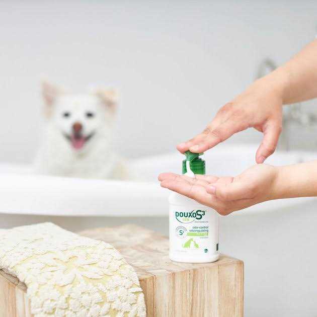 Douxo S3 SEB Shampoo Q19959