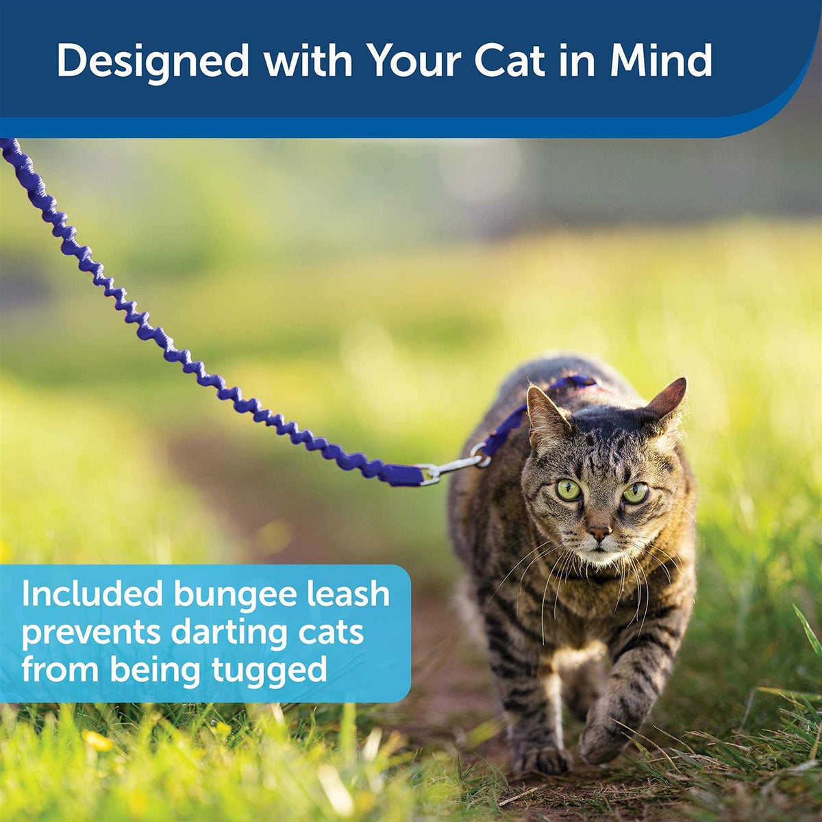 Come with Me Kitty Harness Bungee Leash K717