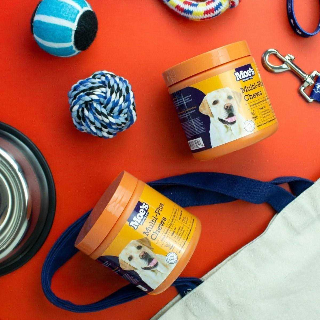 Dog Supplement A435316
