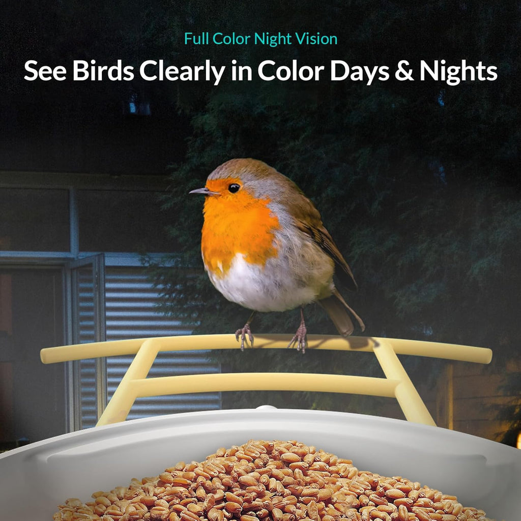 Birdfy Camera with Solar Panel and Pro Perch M109