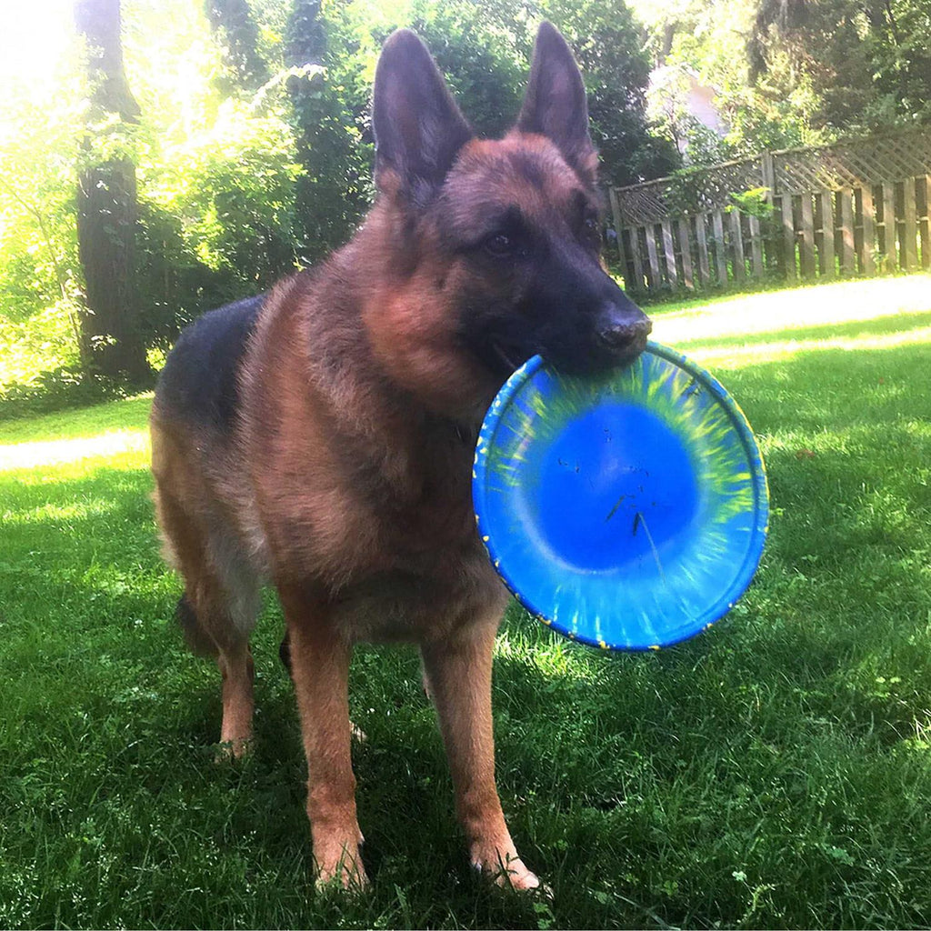 Dog Toy J8671