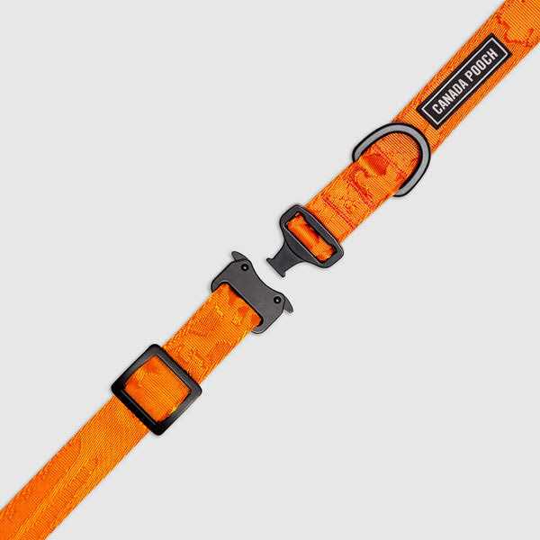 Utility Dog Collar Z466755