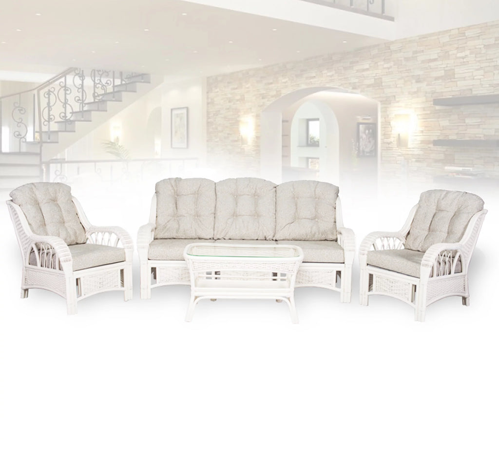 White Rectangular Rattan Coffee Table F134