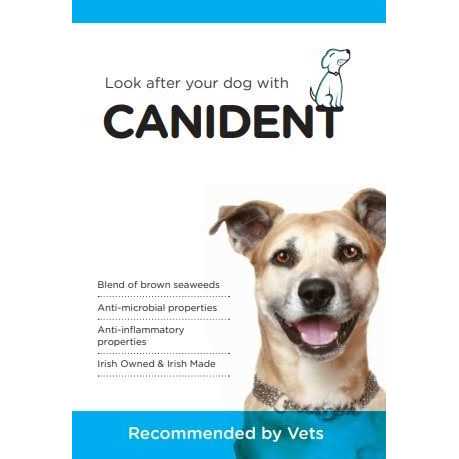 Clean Dogs Teeth J712